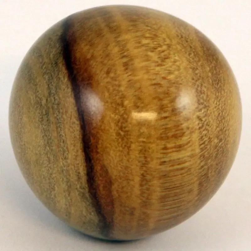 Paradise Norfolk Island Pine Wooden Balltop - Image 2